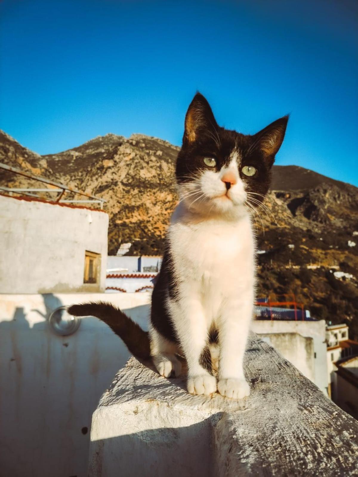 Riad La Santa Chefchaouen Ngoại thất bức ảnh